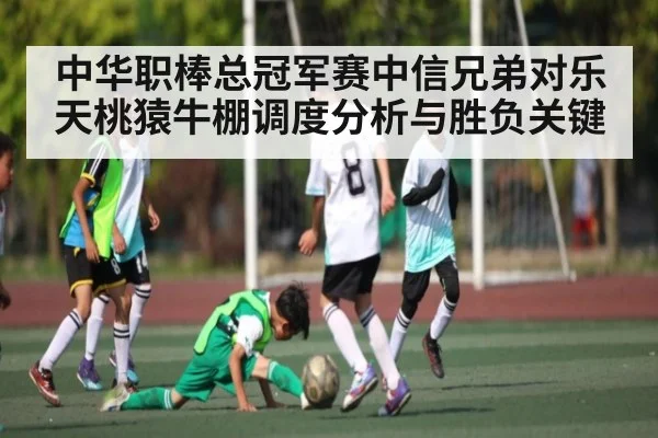 中华职棒总冠军赛中信兄弟对乐天桃猿牛棚调度分析与胜负关键